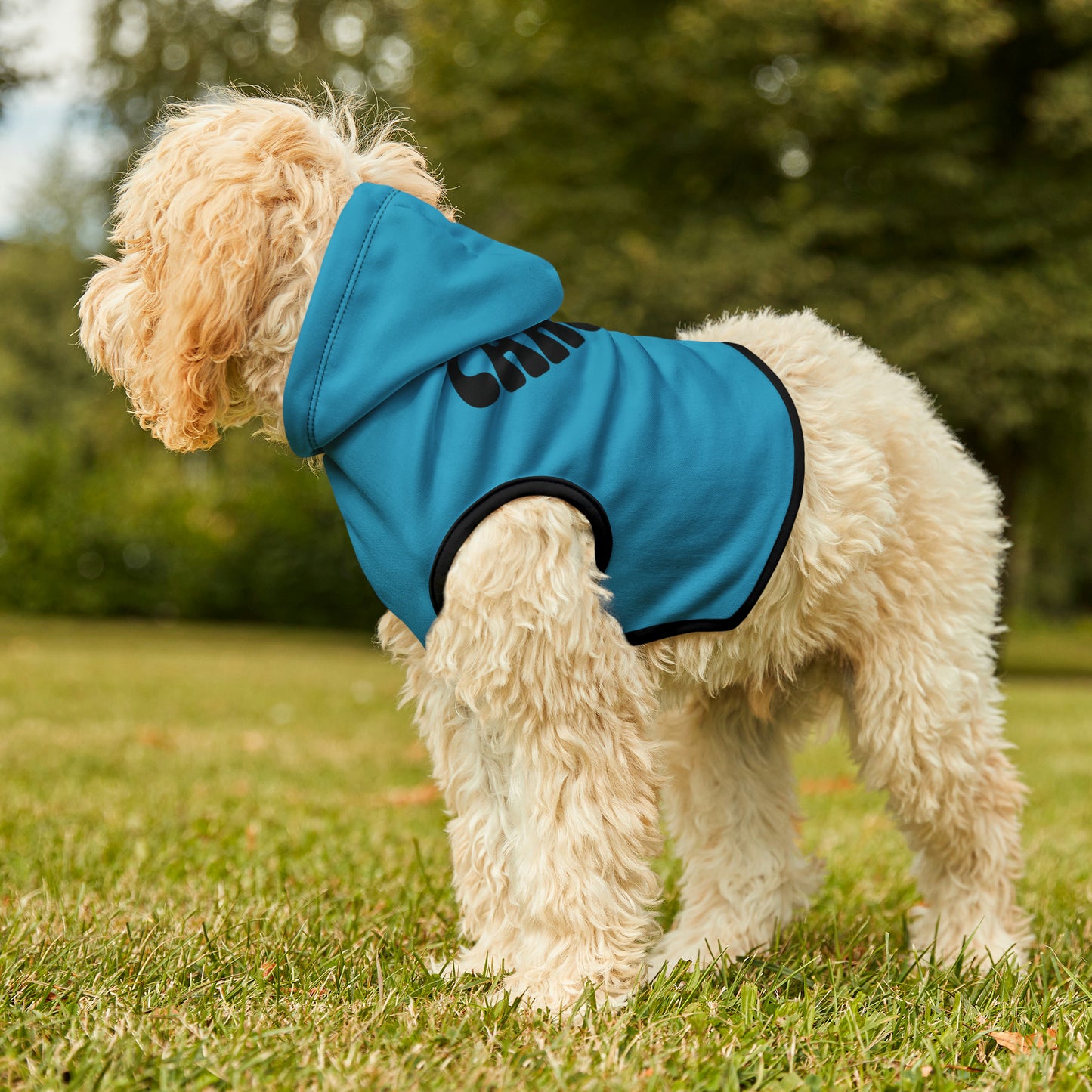 "Squirrel Chaser" Pet Hoodie