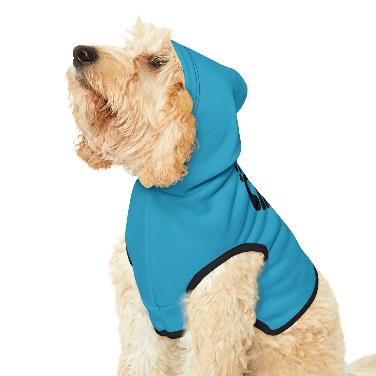 "Squirrel Chaser" Pet Hoodie