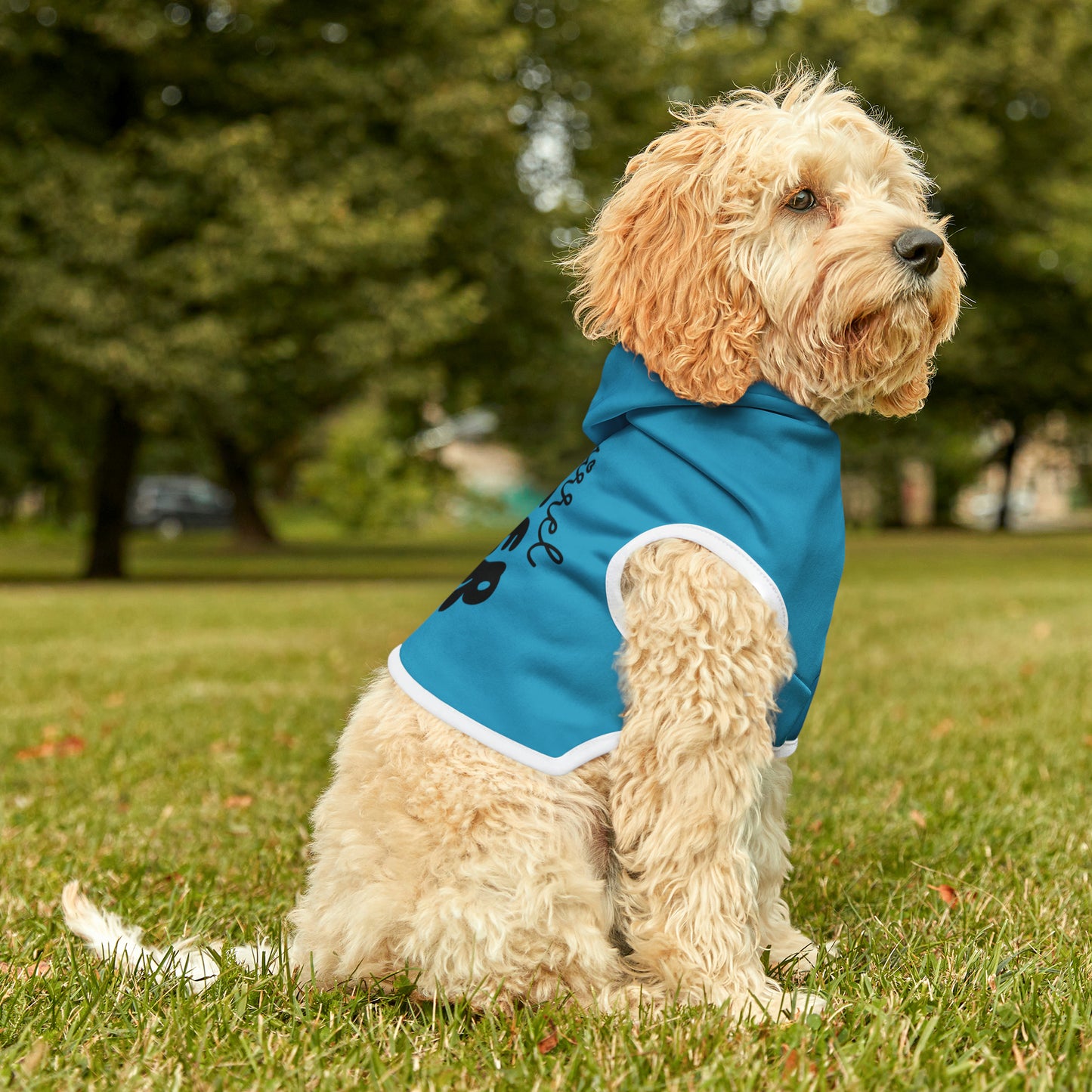 "Squirrel Chaser" Pet Hoodie