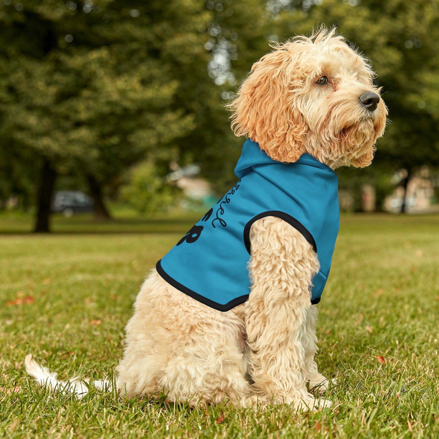 "Squirrel Chaser" Pet Hoodie