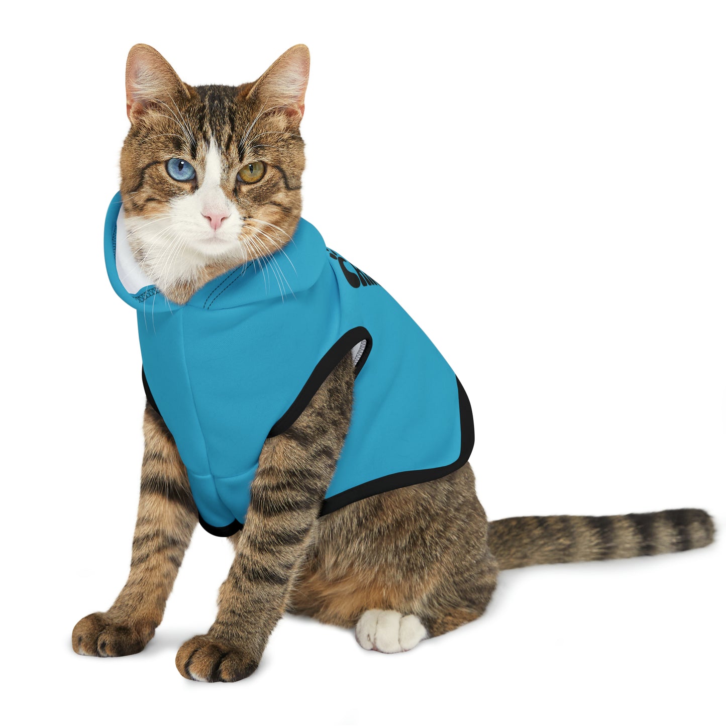 "Squirrel Chaser" Pet Hoodie