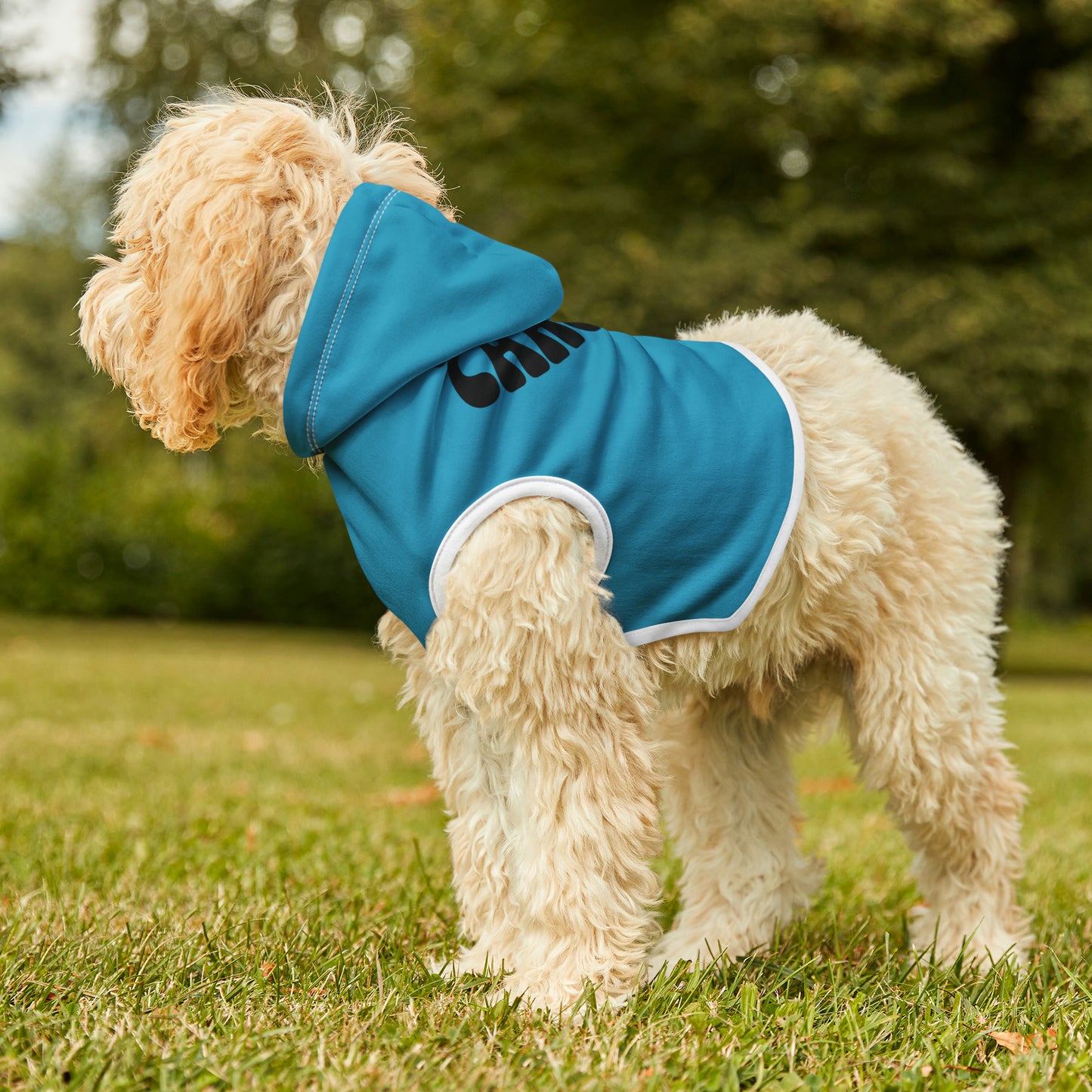 "Squirrel Chaser" Pet Hoodie