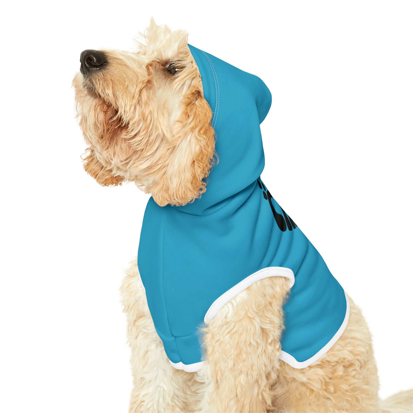 "Squirrel Chaser" Pet Hoodie