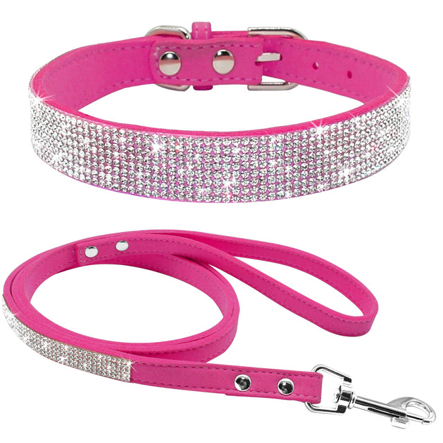 Pet Collar