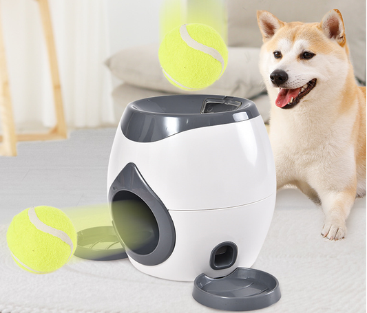 Smart Pet Feeder